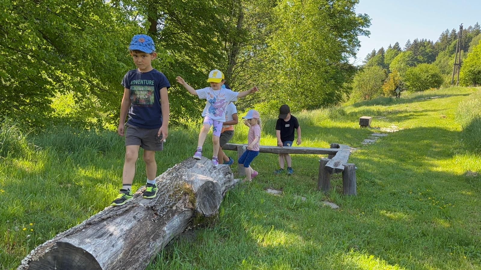 obrázek 6