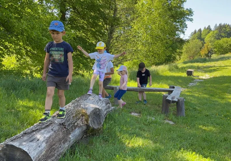 obrázek 6