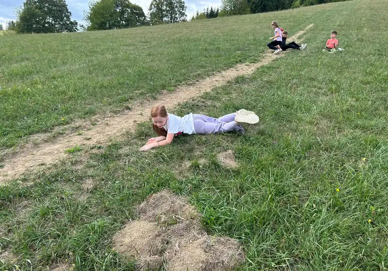 28