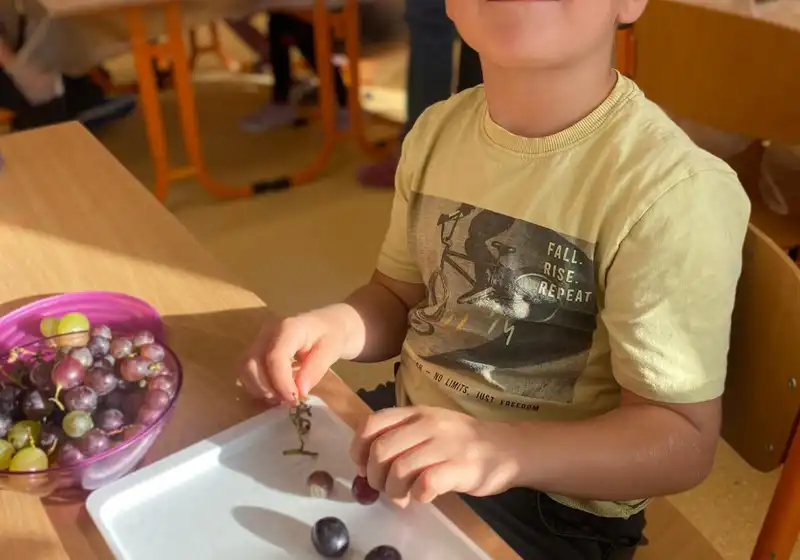 19